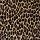 Kane Carpet: Angora Peruvian Tiger